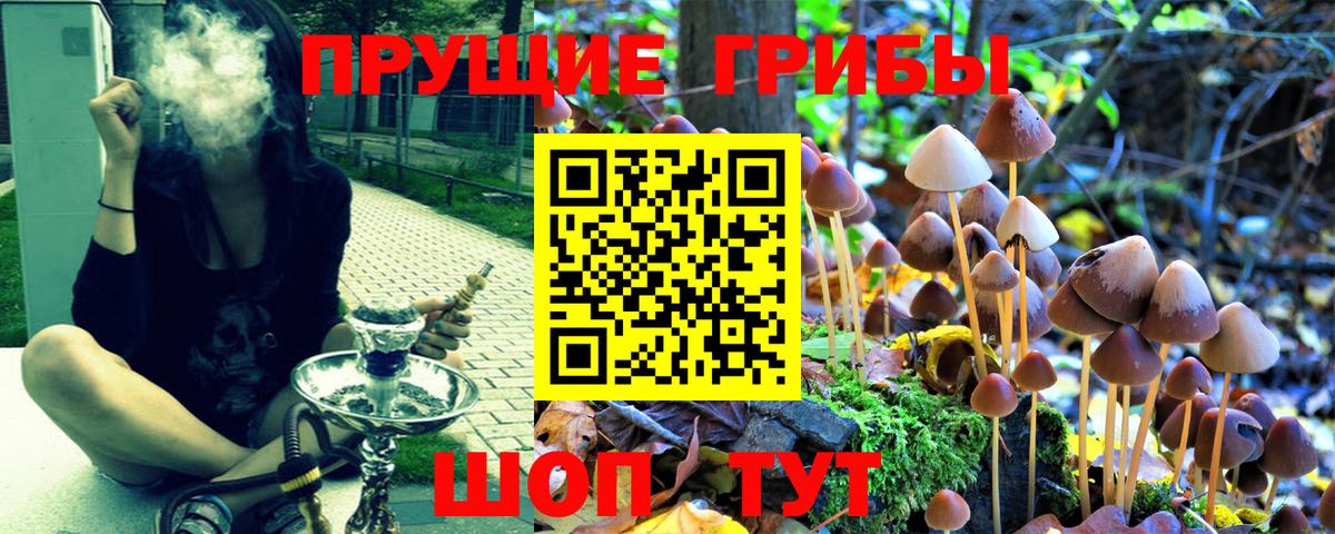 Галлюциногенные грибы мухоморы Баксан