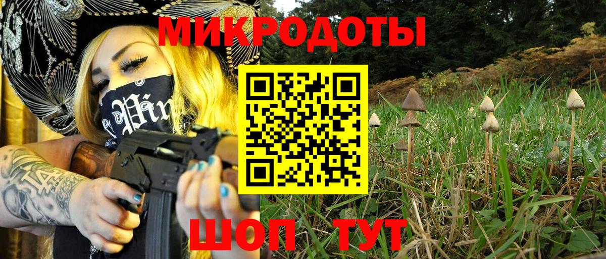 Баксан  Псилоцибиновые грибы Cubensis  Вход с VPN  Галлюциногенные грибы Magic Shrooms 